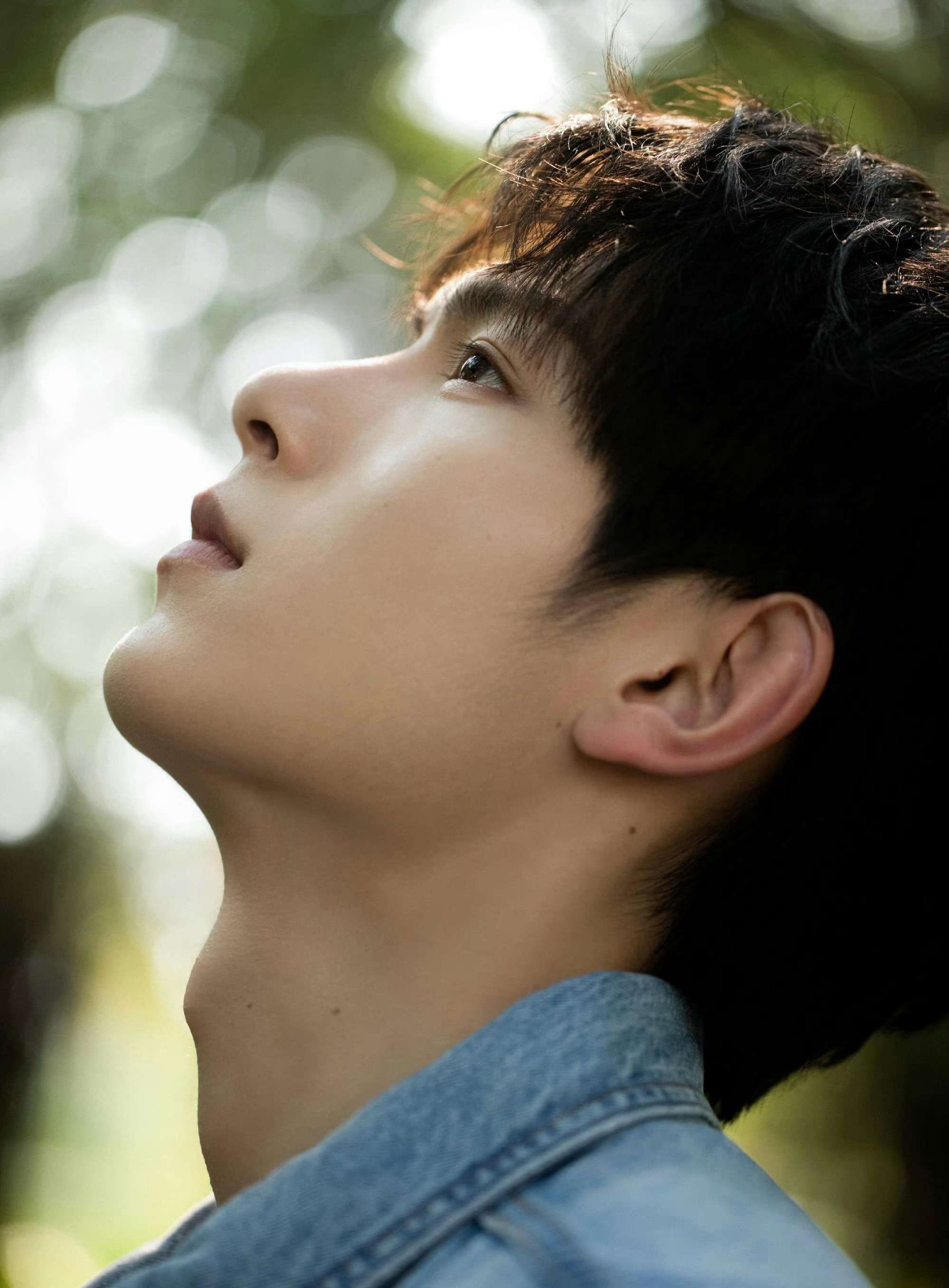 樊治欣春日碎片!温柔的牛仔男孩,清新帅气又时尚_高清图集_新浪网