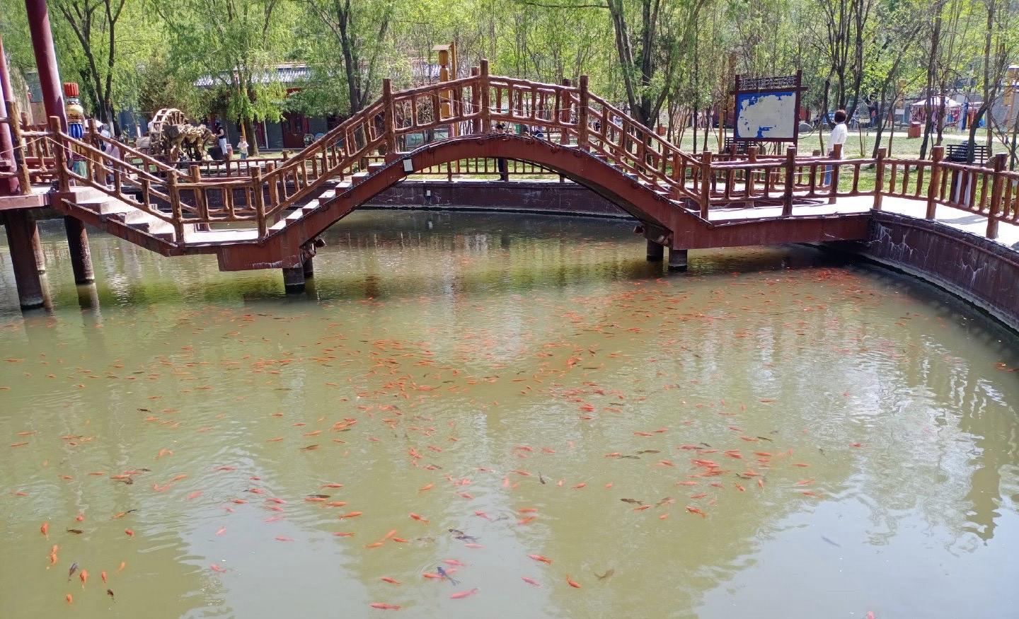 宝鸡陇县秋菊山庄:田园风光与民俗风情,在这里尽情地展现