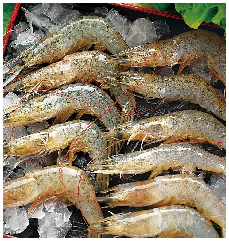 青虾和红虾都有哪些区别,营养价值哪个高?