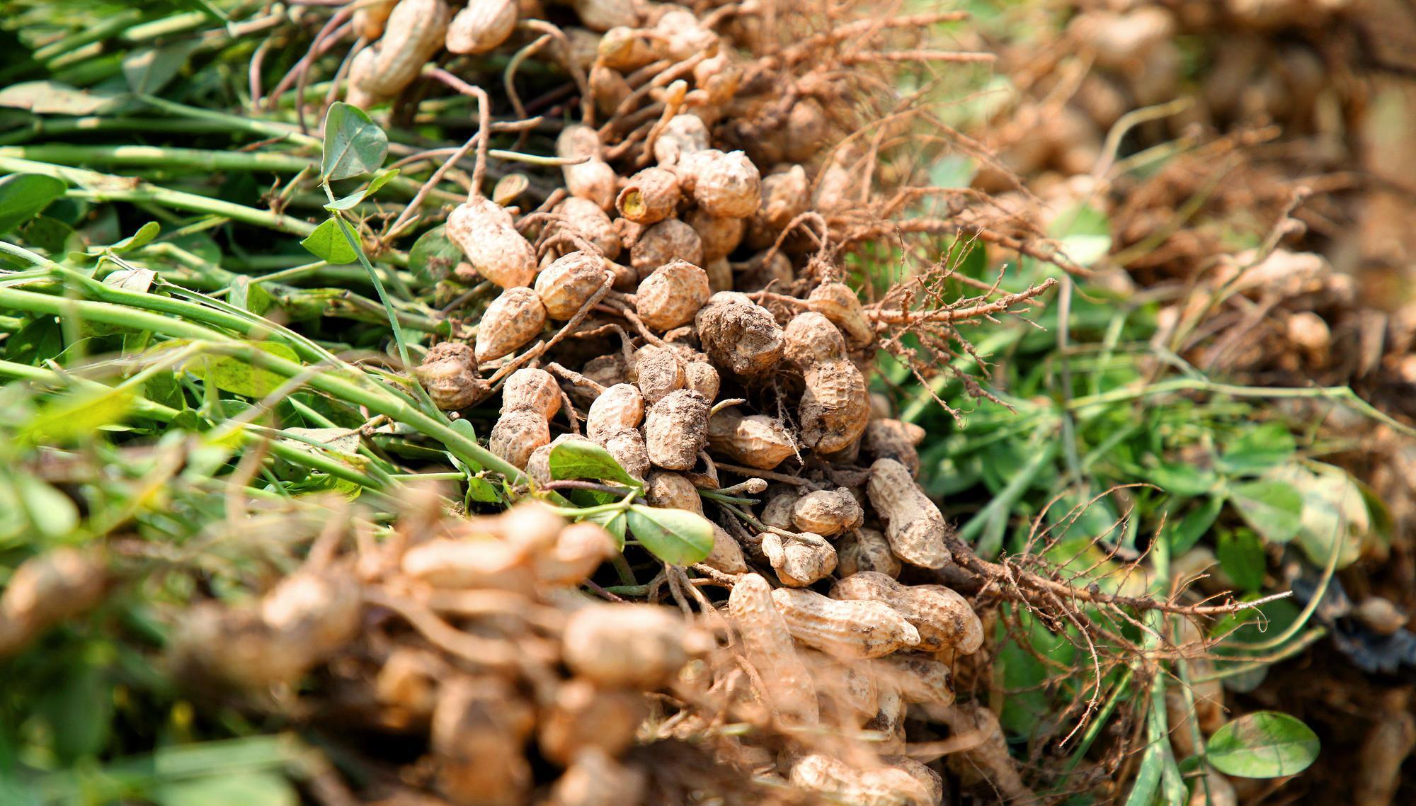 2022-1-19至1- 25日 <a href=