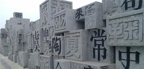 2020中国姓氏人数最_中国姓氏人口排名_李姓