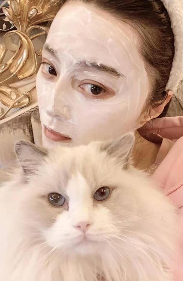 范冰冰越来越像网红!涂面膜抱布偶猫高调晒自拍,土豪金沙发抢眼