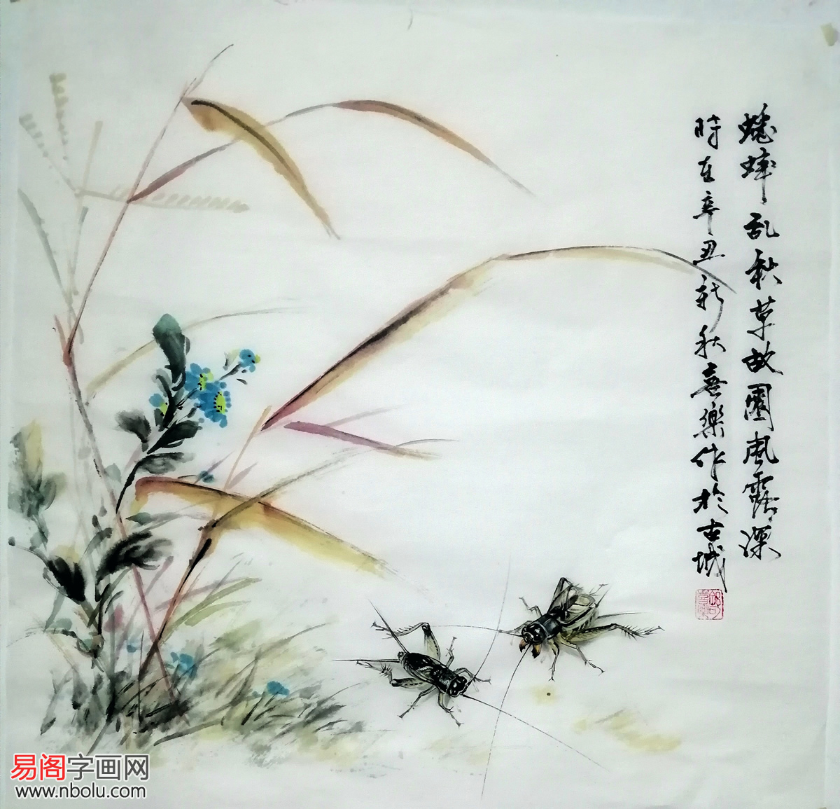 舒喜乐小写意蟋蟀清雅秀丽气韵生动