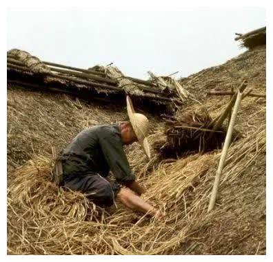 80年代农村老照片图4让人怀念图6你一定做过