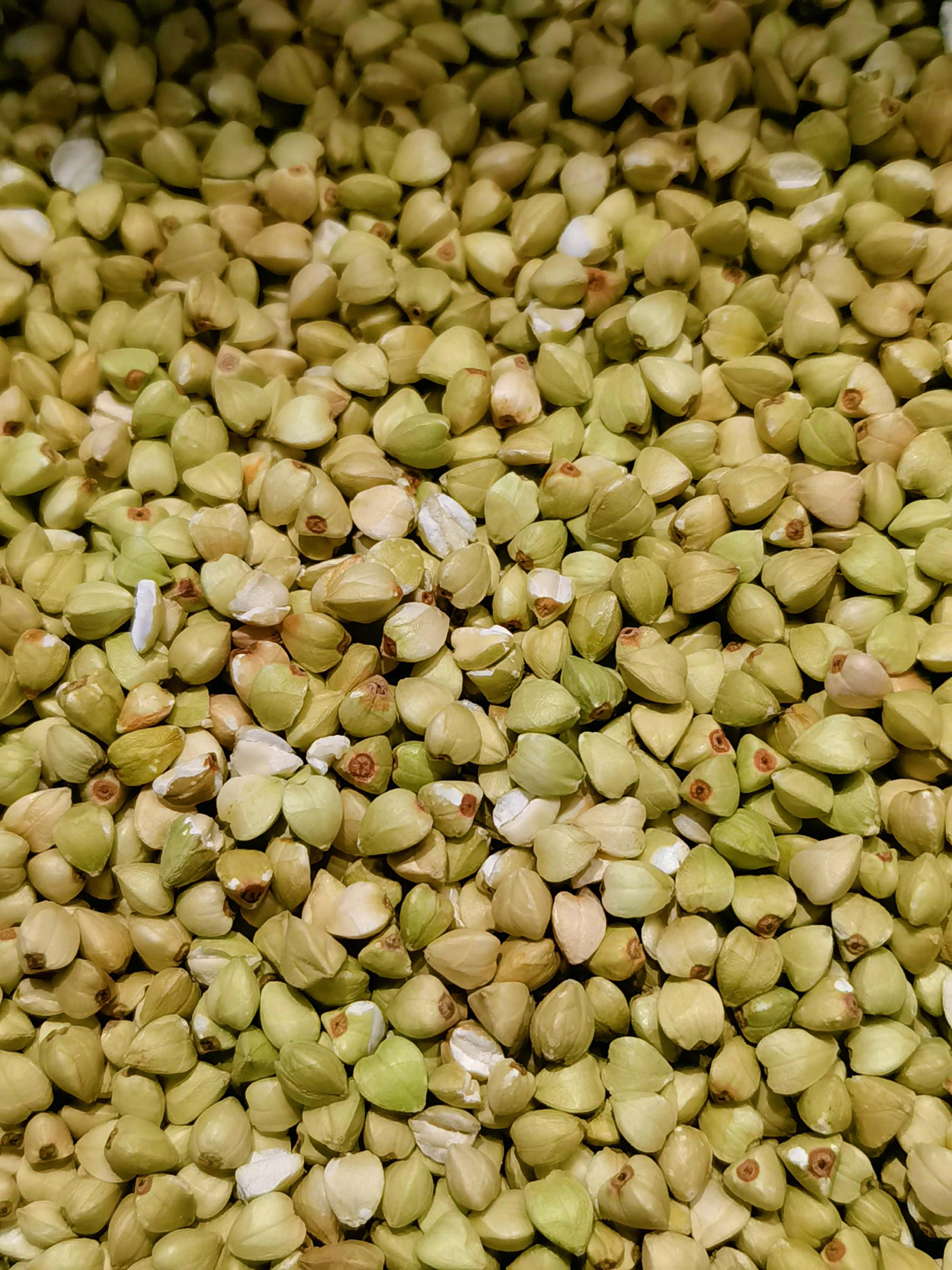 荞麦籽原创拍摄