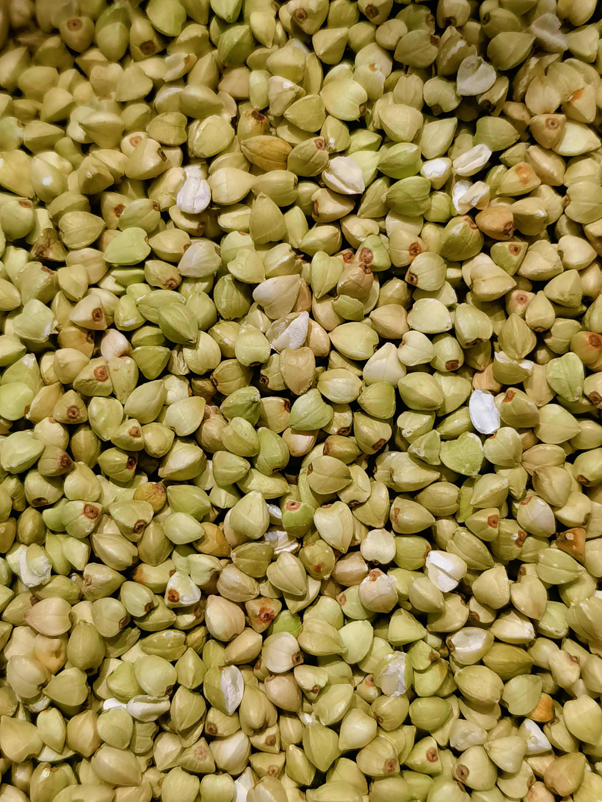 荞麦籽原创拍摄