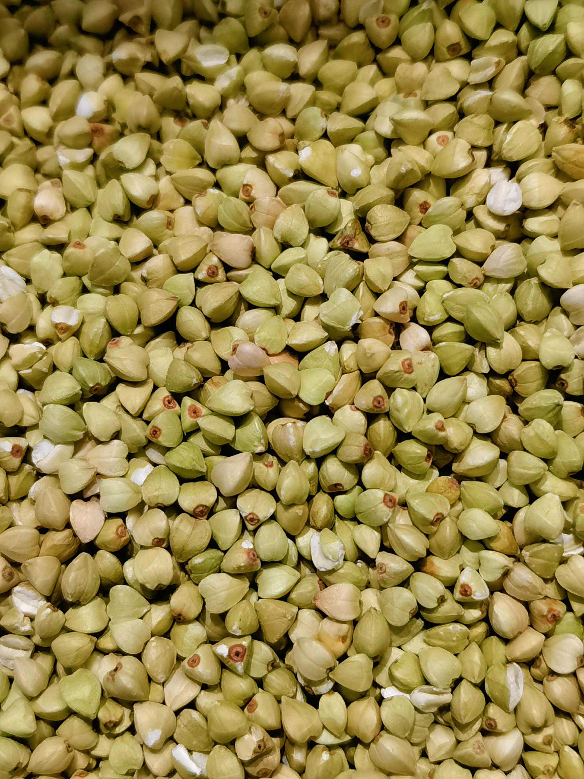 荞麦籽原创拍摄