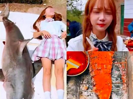 网红烹饪“大白鲨”已涉嫌违法！律师：或面临10年以上刑期休闲区蓝鸢梦想 - Www.slyday.coM