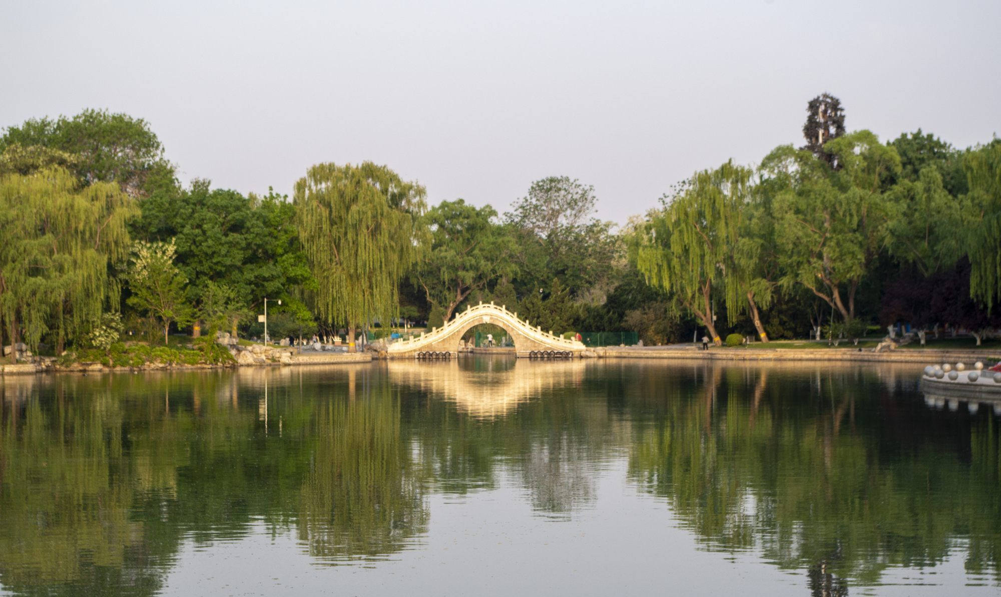 龙潭湖公园图片