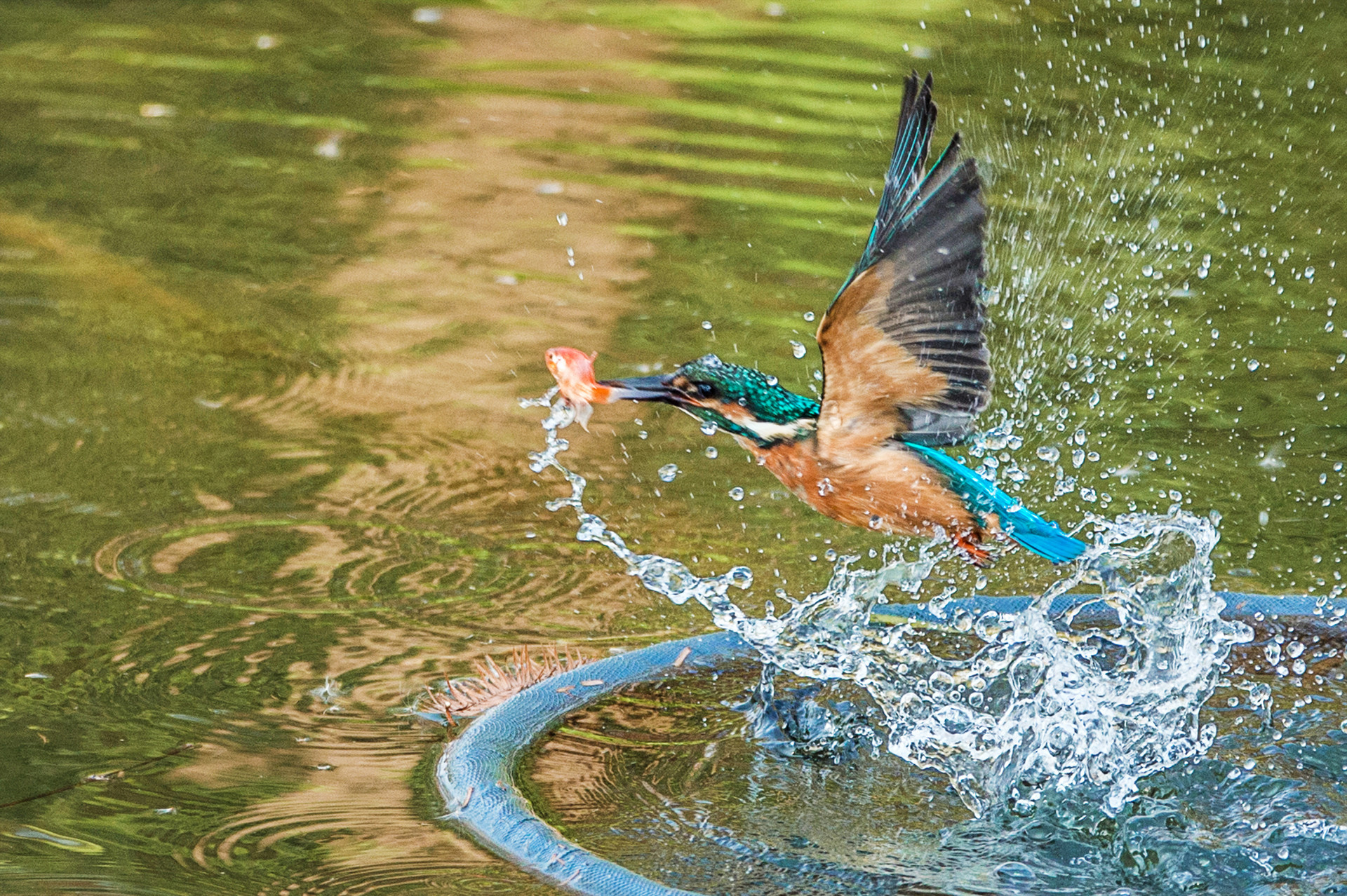 学会善于运用快门速度