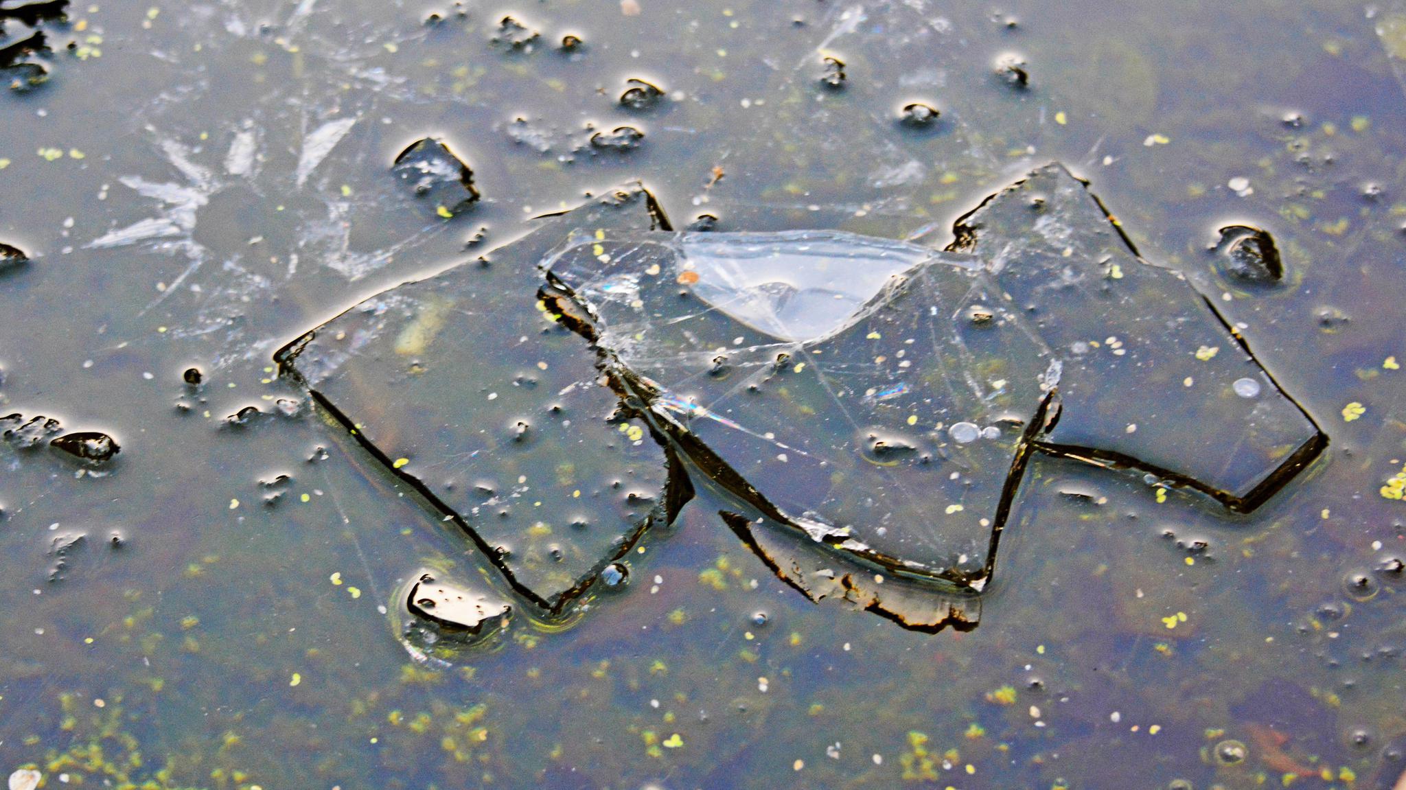 江苏无锡斗山,今天结冰了,厚度足有3毫米.