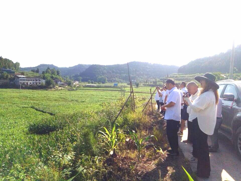 破茧成蝶后怎样绽放？南充嘉陵的龙蟠这个动作背后包裹着啥名堂…休闲区蓝鸢梦想 - Www.slyday.coM