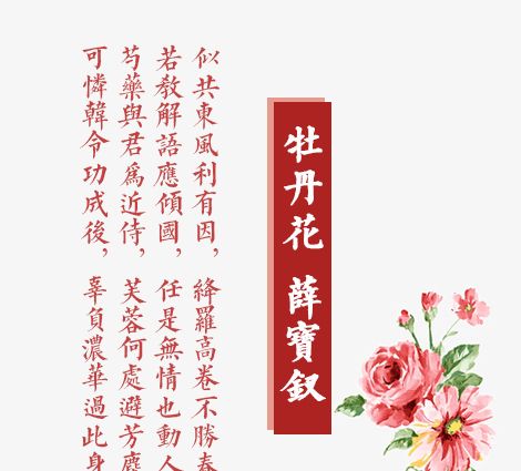 红楼梦中的花名签酒令,酒与诗的完美结合