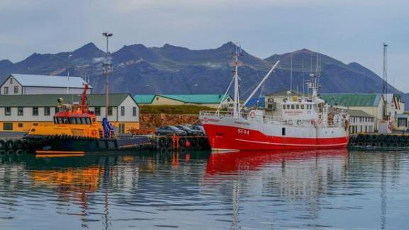 冰岛人口_冰岛历年人口总数统计