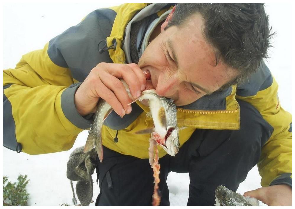 贝爷为什么不录《荒野求生》了?看看在中国遭遇了啥?难怪不干了