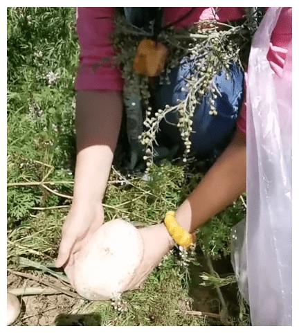 50岁于月仙遭遇车祸突然离世:原来人生真的没有那么多来日方长休闲区蓝鸢梦想 - Www.slyday.coM 50岁于月仙遭遇车祸突然离世:原来人生真的没有那么多来日方长休闲区蓝鸢梦想 - Www.slyday.coM