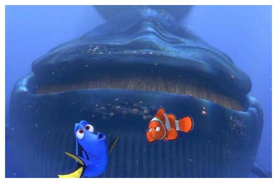 《心灵奇旅》这个电影确实好,贴近生活,又高于生活__财经头条