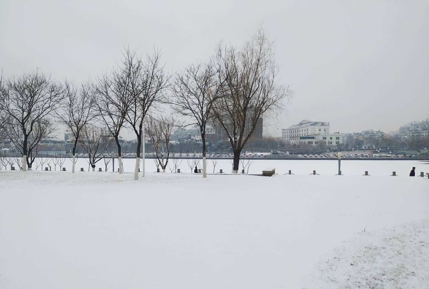 冬至城市的雪景依然很美