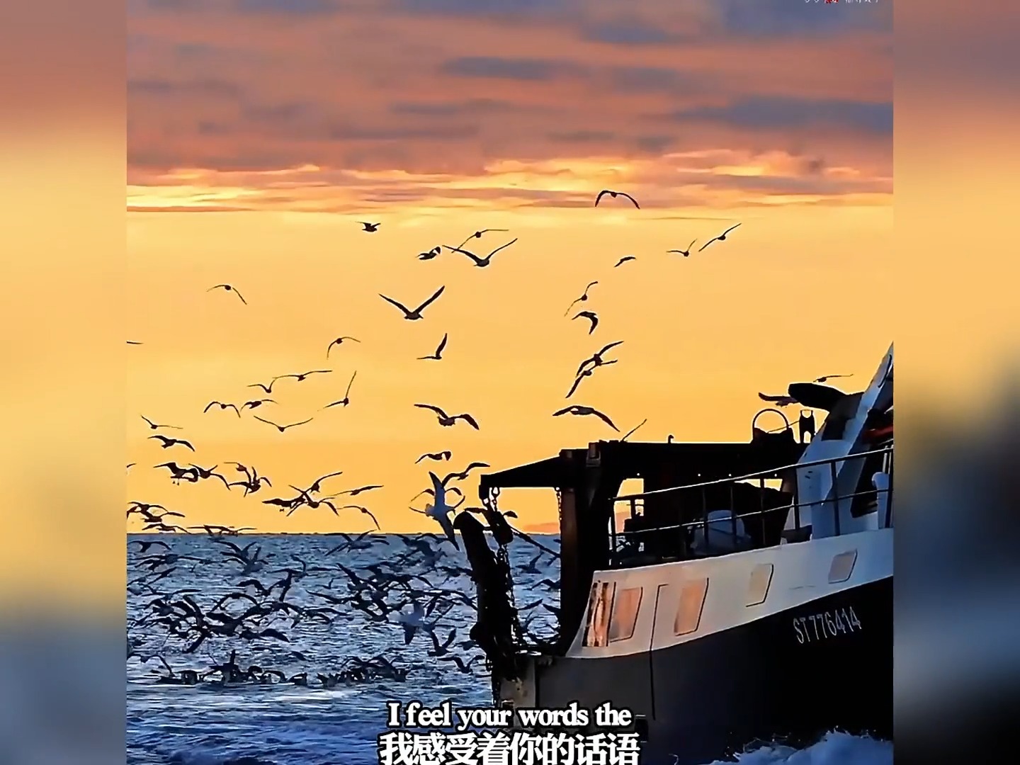 教父主题曲《温柔的倾诉》，经典歌曲百听不厌