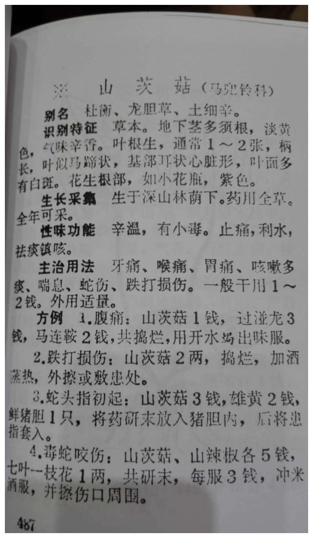 新闻搜索_新浪搜索_新浪网