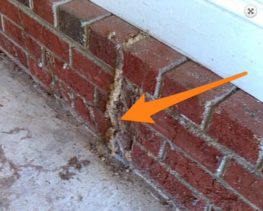 在车库的红砖墙上也可以看到白蚁.管道土壤是白蚁的行为.