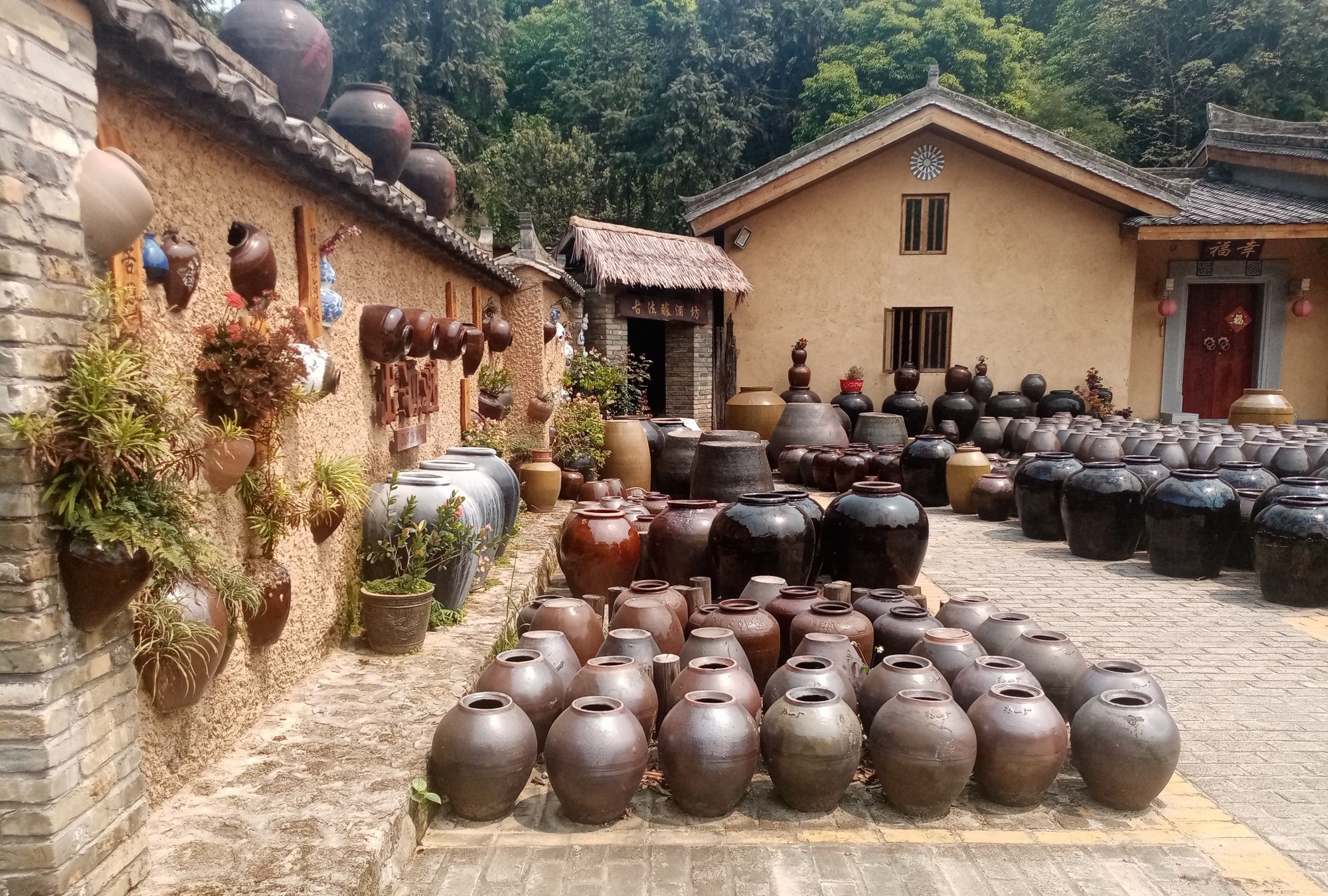 有一间传承了几百年的客家古法酿酒坊,每天都有很多酒友慕名前来
