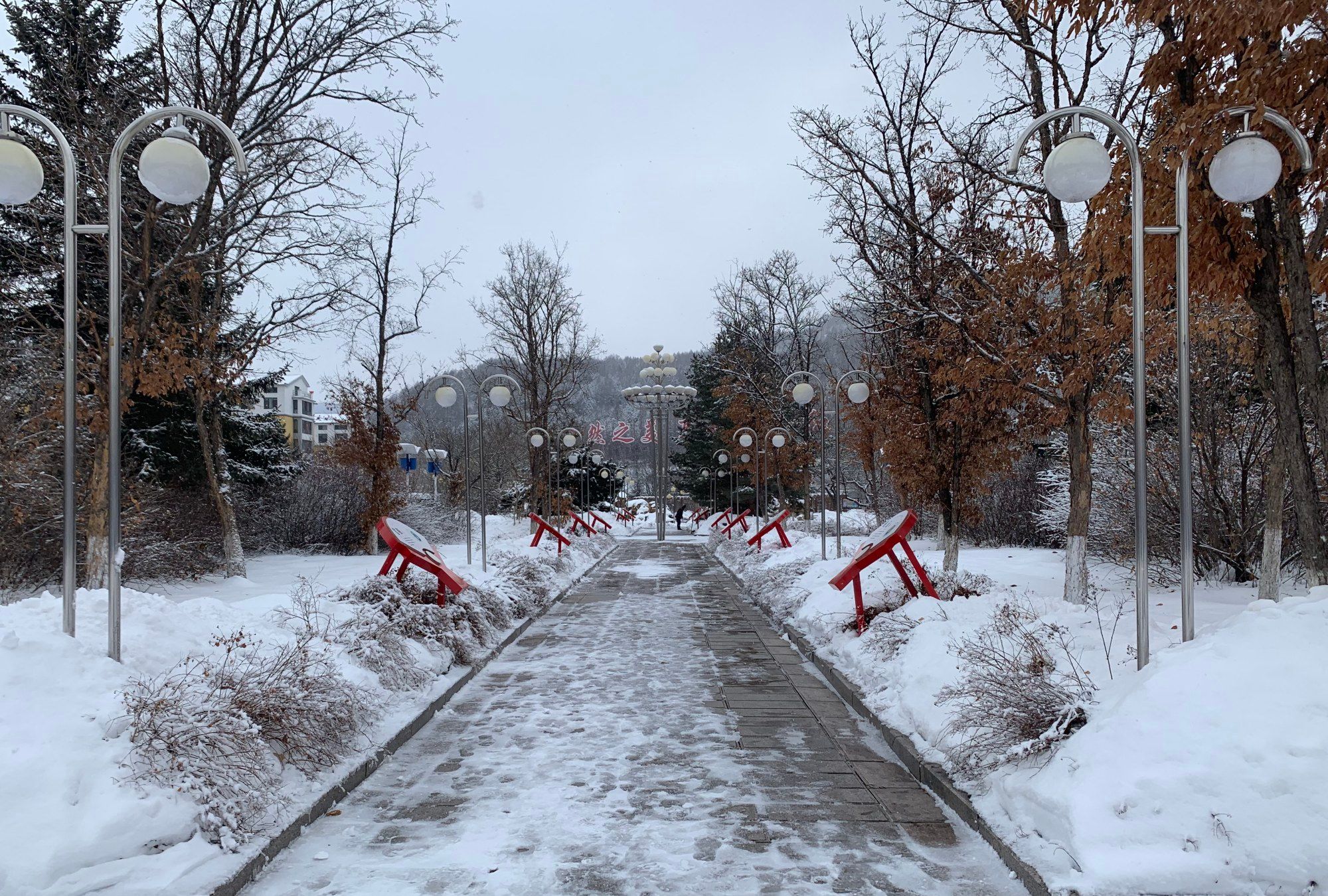 雪中美丽的通化县