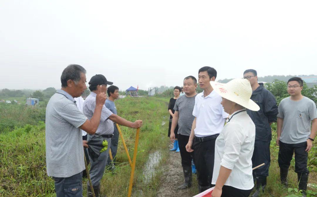 包河法院胡权明院长慰问防汛一线法院干警