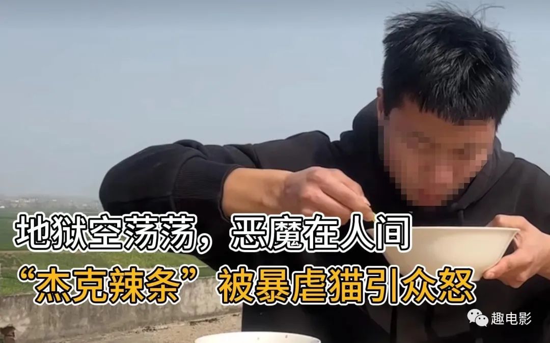 无底线虐猫?这部电影抚慰爱猫的你《爱猫之城》