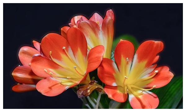 天生"懒婆娘"的生肖女,却命很好,人懒却得宠,懒人有懒福__财经头条