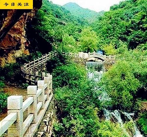 踏青的最好去出大家去过哪些|响水湖|踏青|板栗_新浪新闻