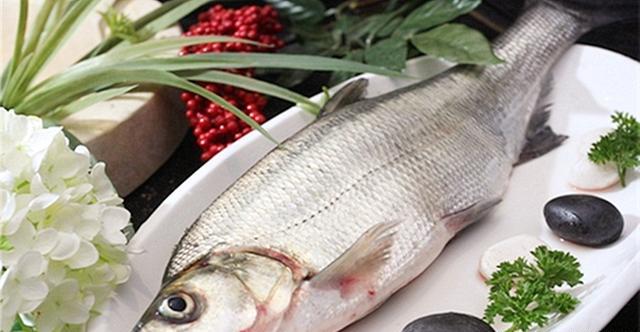 永州阳尖鱼,又名洋尖鱼,体态肥壮,嘴有须,形似鲤鱼,鳞片圆大且紧,发