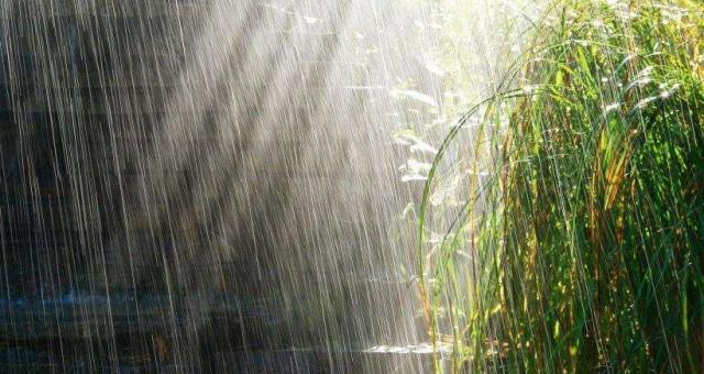 最近一直在下雨的心情说说表达自己心情的句子