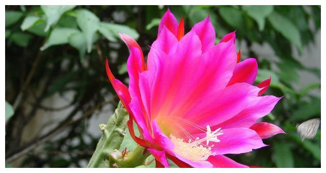 9月12日星座运势 白羊思虑周全 天秤团结互助 水瓶贵人相助