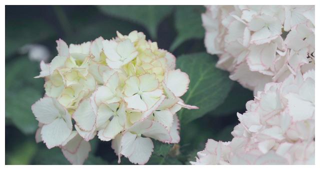 9月12日星座运势 白羊思虑周全 天秤团结互助 水瓶贵人相助