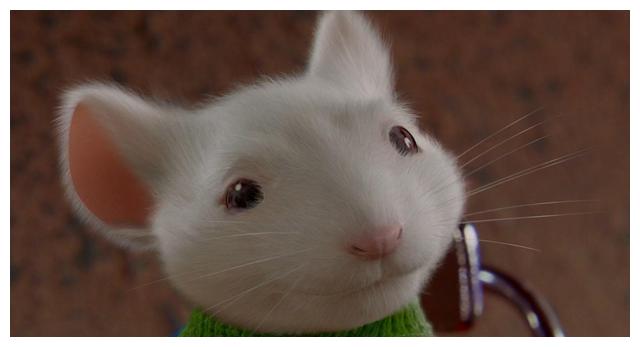 精灵鼠小弟治愈成为主流成年人的世界里也需要童话