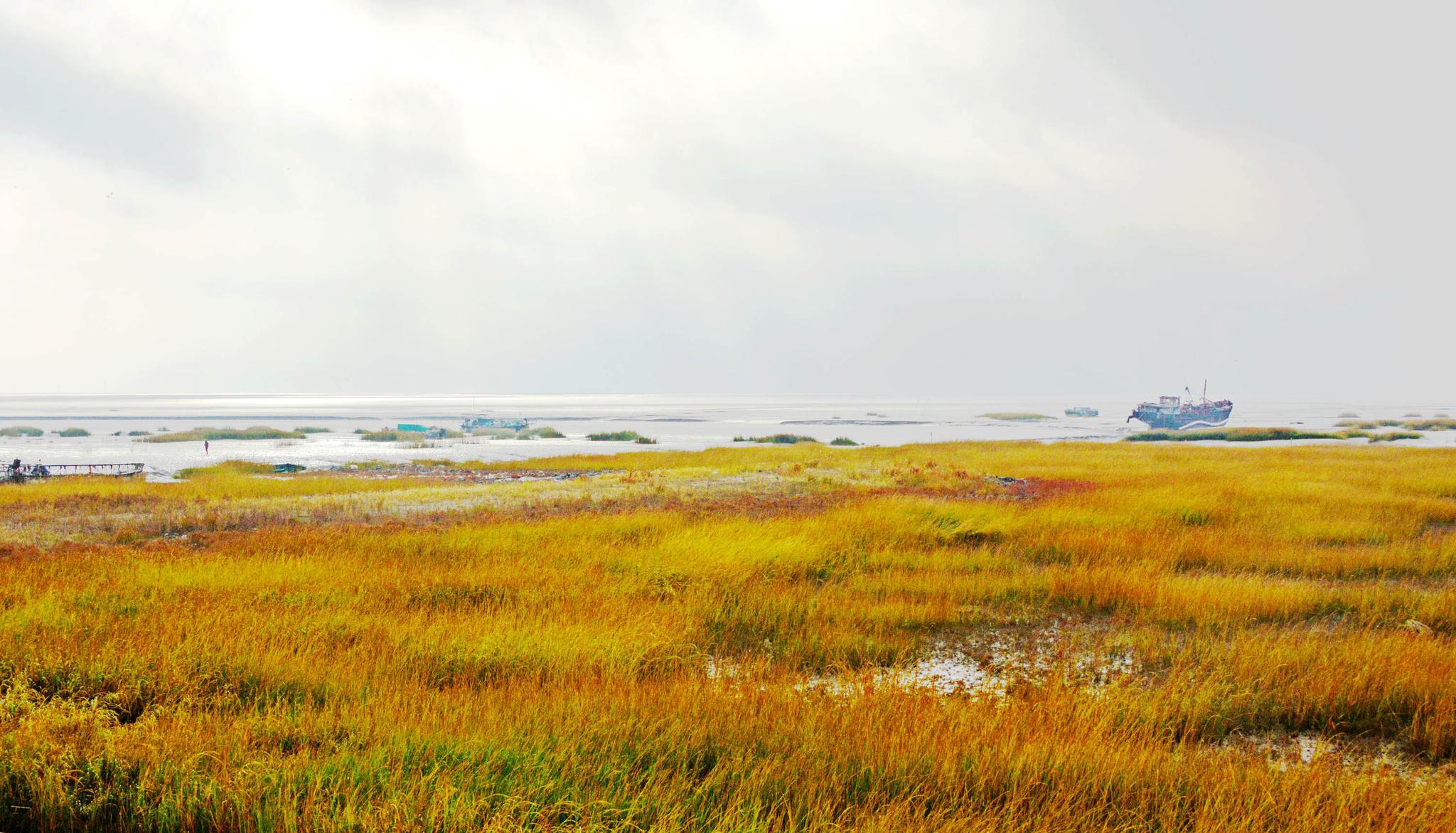 东方新湿地东台条子泥江苏盐城市东台市弶港条子泥景区