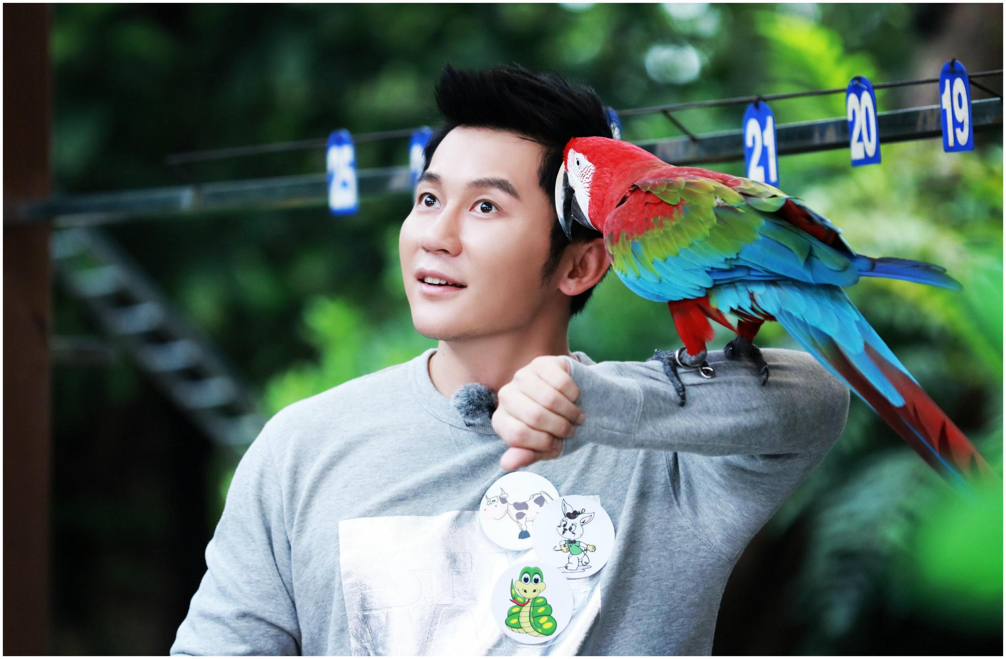 来自灵隐塔罗梦 - 微博