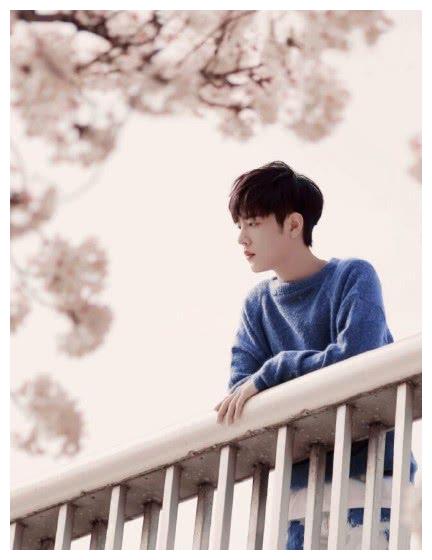 肖战风波过后写真流出,樱花树下成"忧郁王子",不愿意笑了?