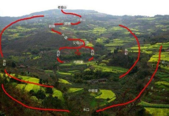 俗语"青龙作案,家财万贯",啥意思?古人的智慧之谈