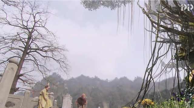 西游记:扒开五庄观人参果树下方的土地,比婴儿尸体都要震撼!