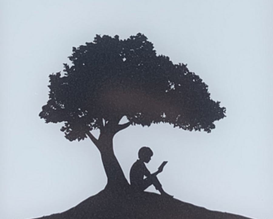 它把kindle的开屏图像:一个男孩坐在树下看书的剪影,直接印在了一块大