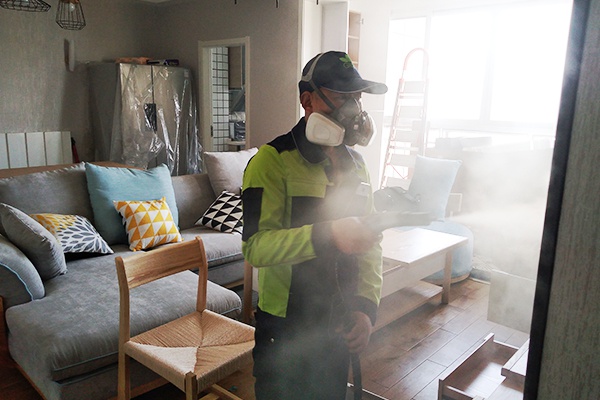 除甲醛为什么是新房装修好后的必要过程