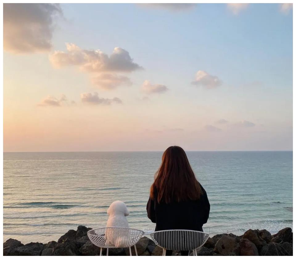 比熊犬背影超像棉花糖结果回头露出真面目直接逗笑网友