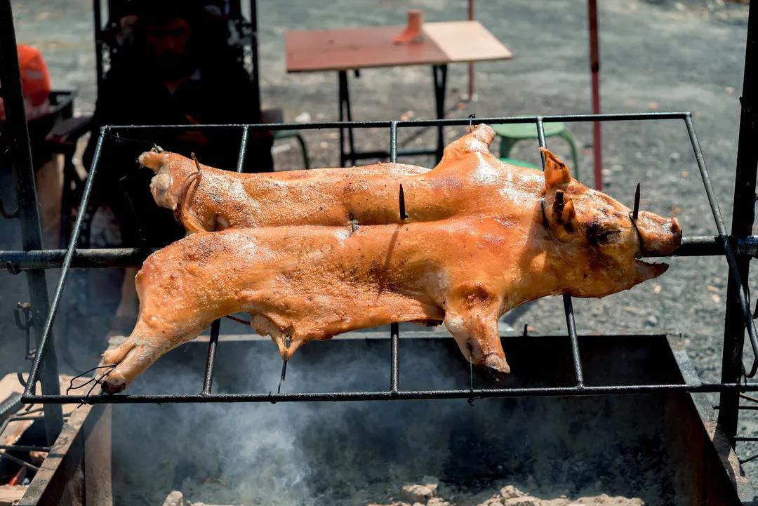 日照烤炉生青烟 馋望烤猪在眼前