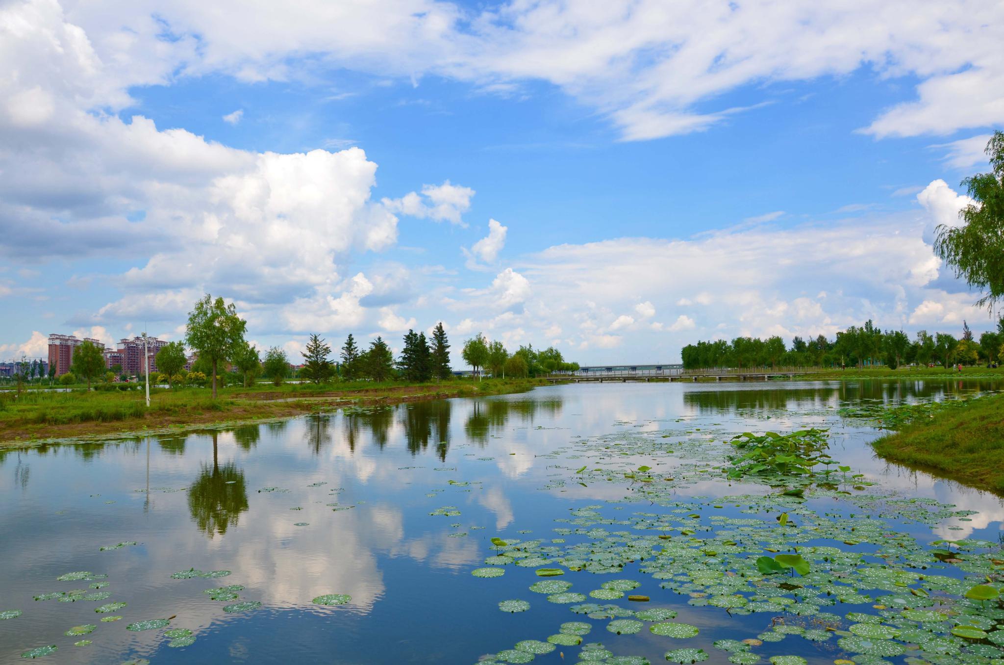 夏天的辽河公园,原创拍摄_高清图集_新浪网