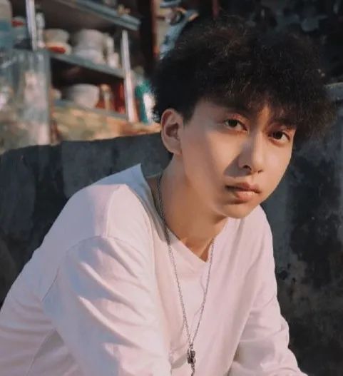 歌手是七叔呢是何许人他的半生雪涉嫌抄袭吗