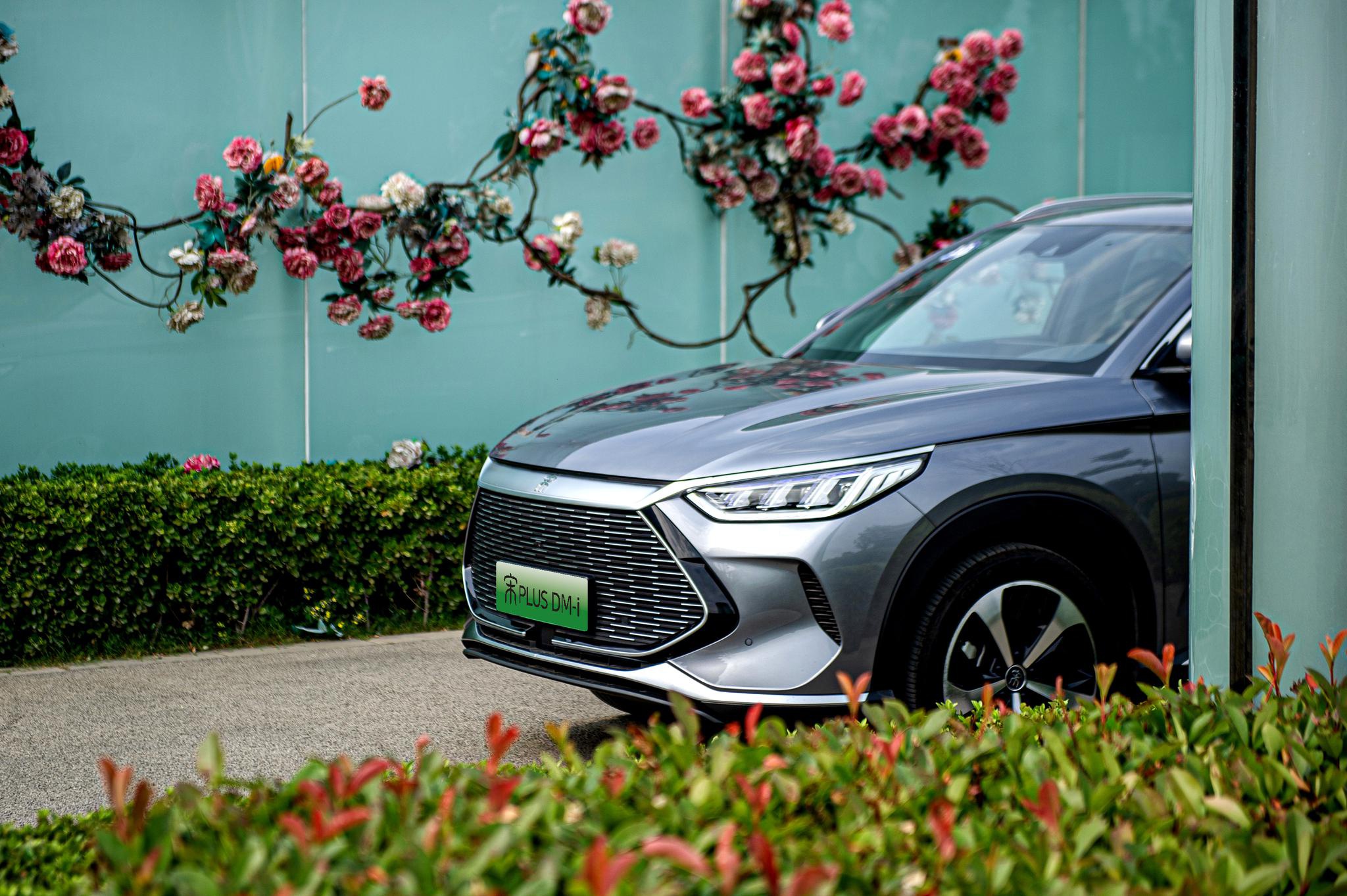 可油可电又省钱的宋plus dm-i,试一次就爱了