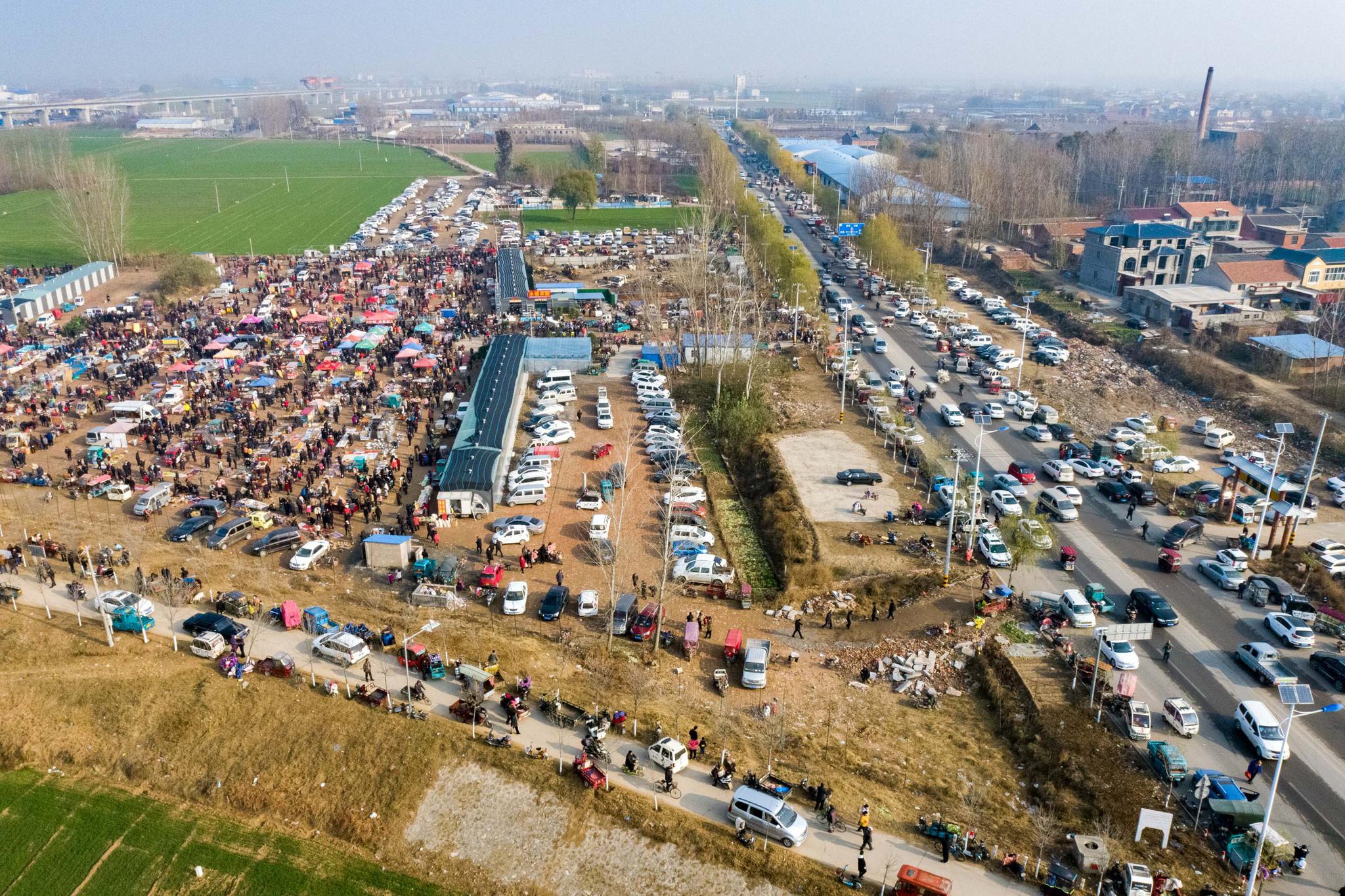 两县共用一个宠物市场,离城区一公里和十公里,在本地却没本县名