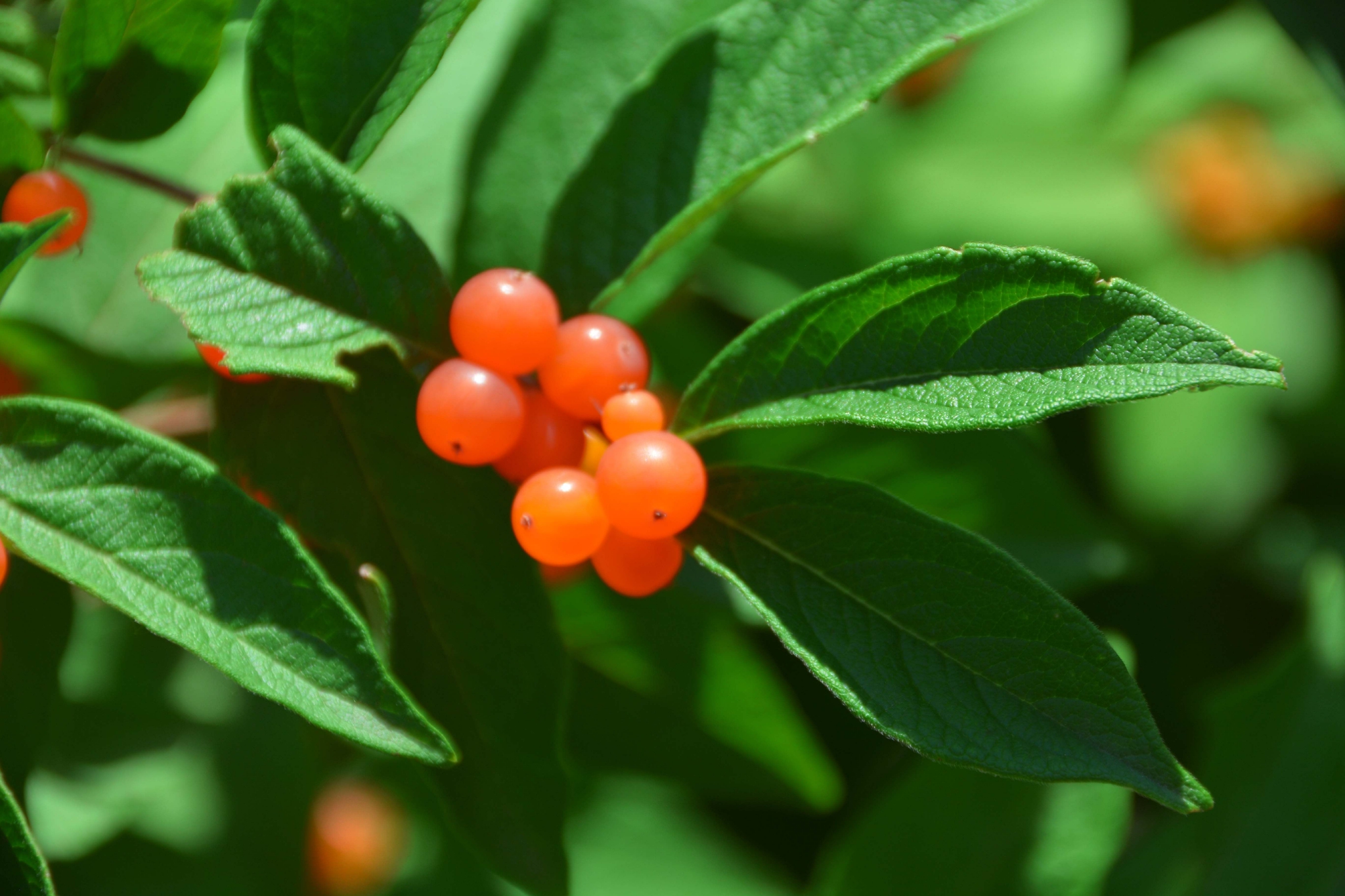 如有关于作品内容,版权或其它问题请于作品发表后的30日内与新浪网